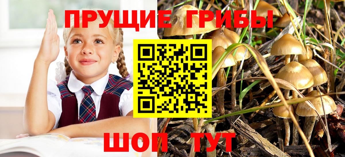 Псилоцибиновые грибы Magic Shrooms  Псилоцибиновые грибы ЛСД  Вход с VPN  Димитровград 